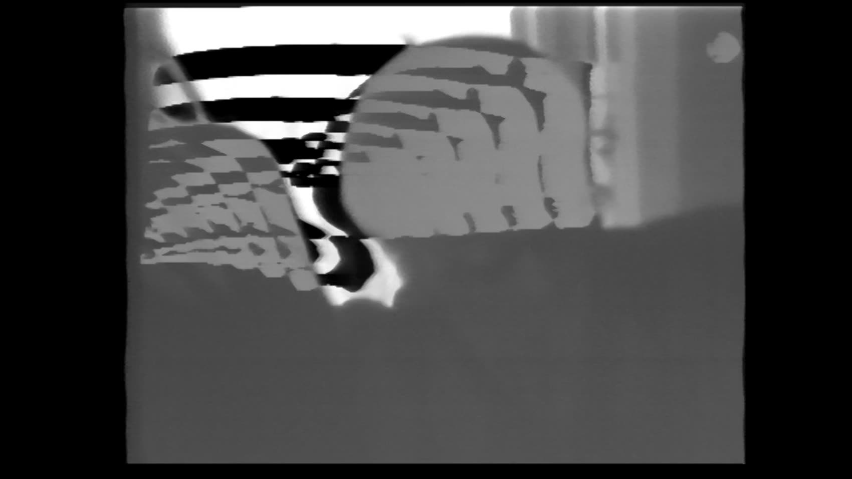 Projet « Concurrences », séquence vidéo 3, 1982–1983