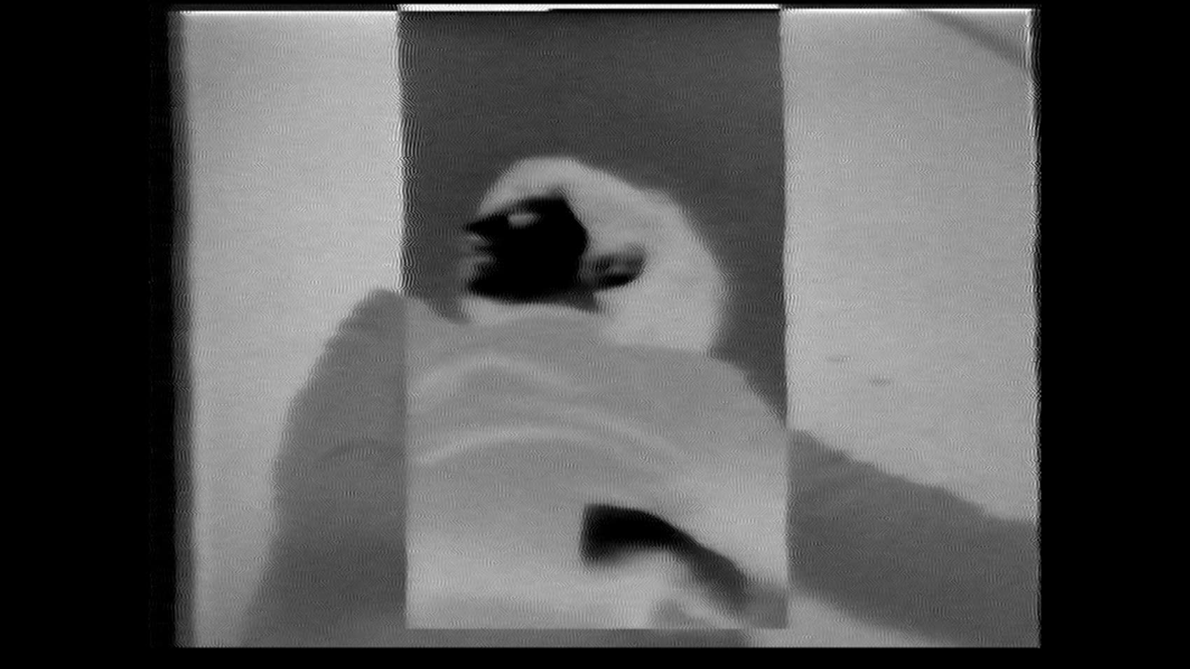 Projet « Concurrences », séquence vidéo 4, 1982–1983