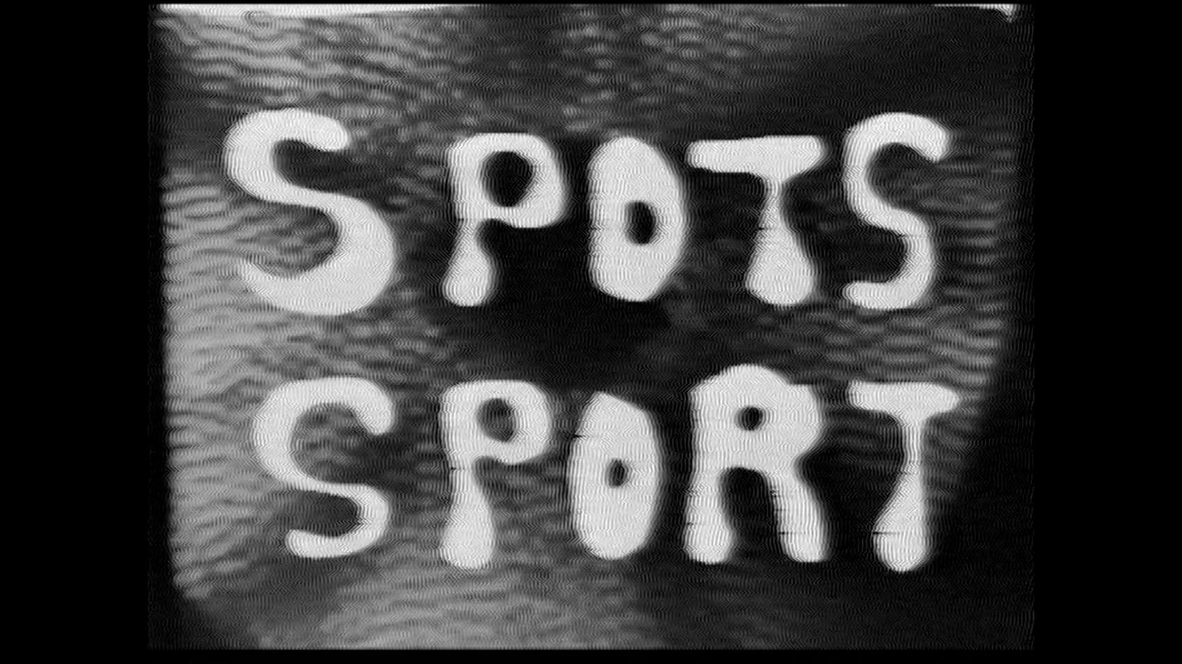 Exposition « Du sport aux rites », I.N.E.P., Marly-le-Roi, 1981 — vue 4