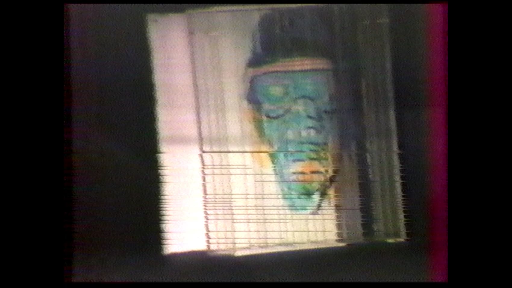 Exposition « Du sport aux rites », I.N.E.P., Marly-le-Roi, 1981 — vue 5